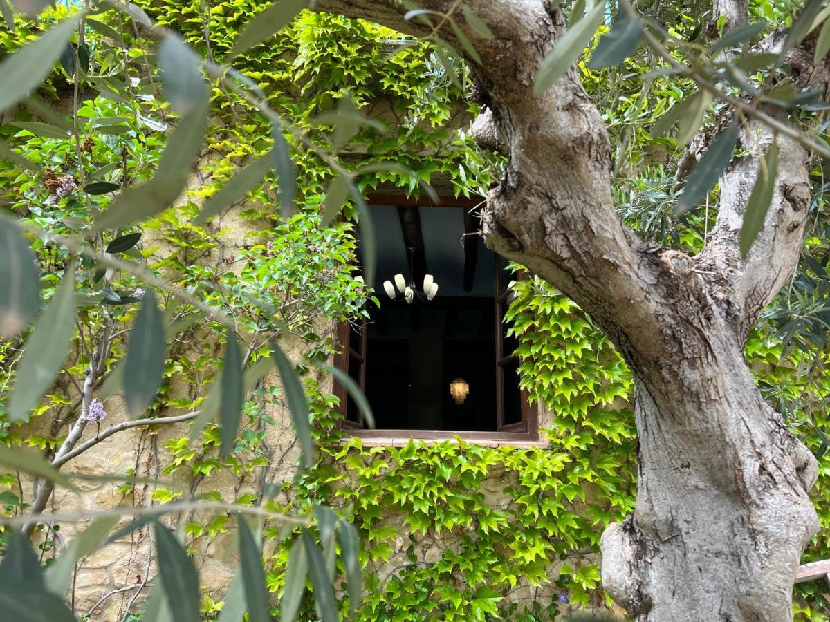Appartement Antiguo Molino à Arnés Extérieur photo